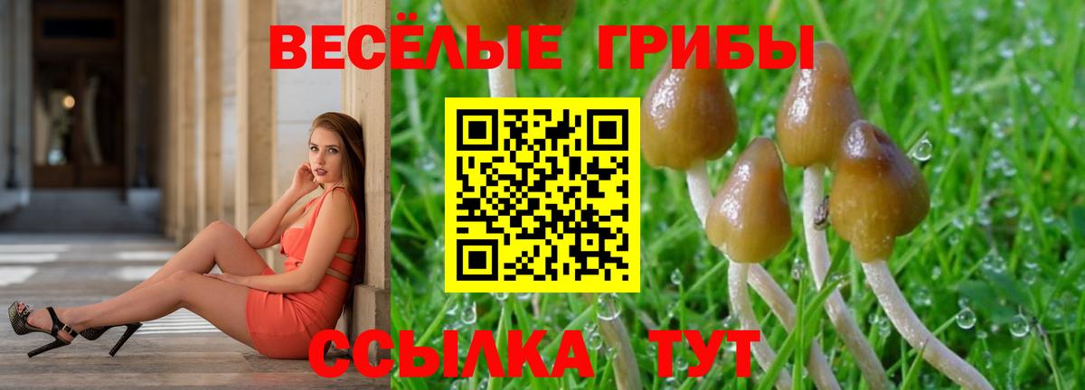 Галлюциногенные грибы Magic Shrooms  Вход с VPN  Бийск  Псилоцибиновые грибы GOLDEN TEACHER 